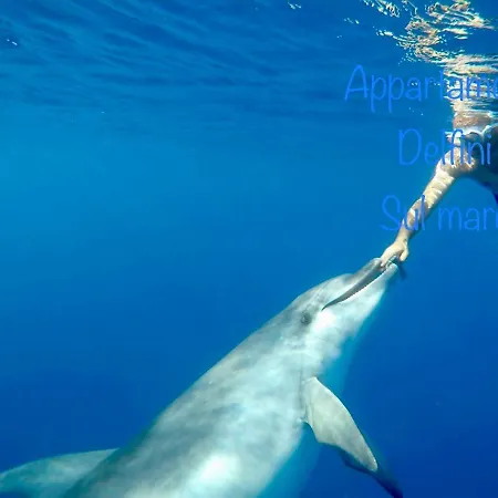 Delfino Bianco Διαμέρισμα